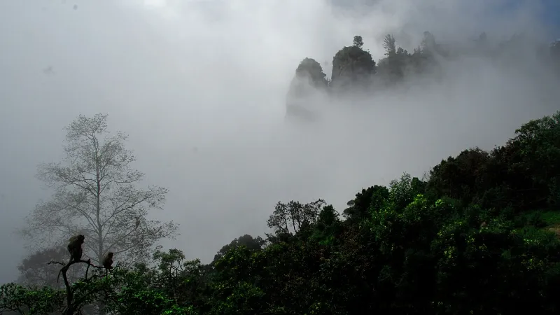 Munnar package from Hyderabad